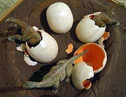 Huevos de dinosaurio